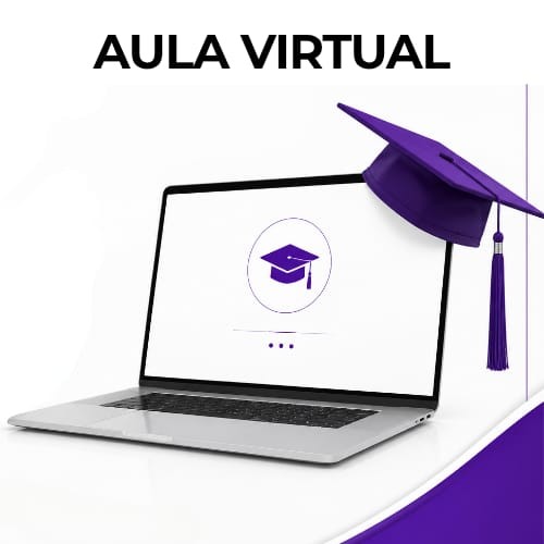 AULA VIRTUAL